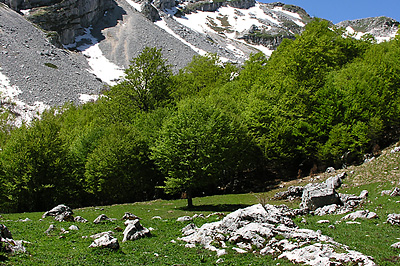 Val di Rose