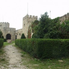 Viale d'ingresso al museo di Salle