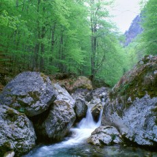 Una delle cascate della Camosciara