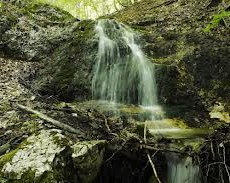 Fonte d'acqua nella Val Fondillo.