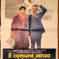 Locandina del film "Il comune senso del pudore"