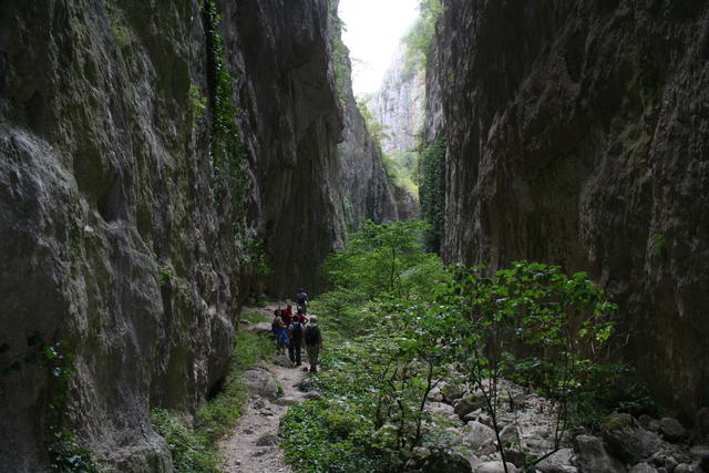 Gole di celano
