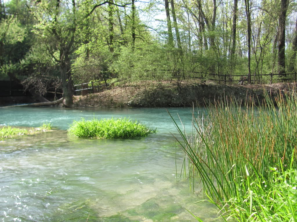 Sorgenti del Lavino